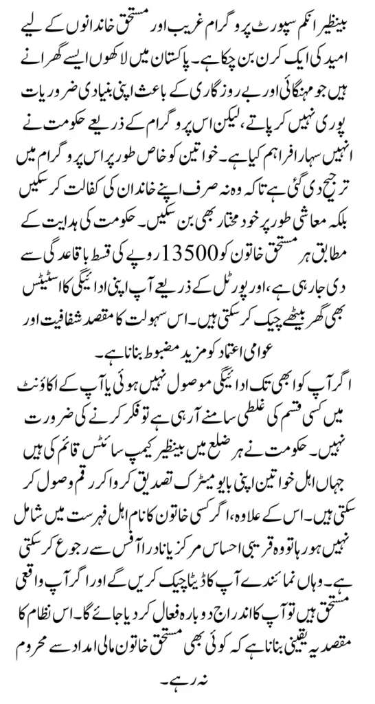 BISP 8171 Web Portal Reopens Check Status Using CNIC Know Full Guide Step By Step 2025