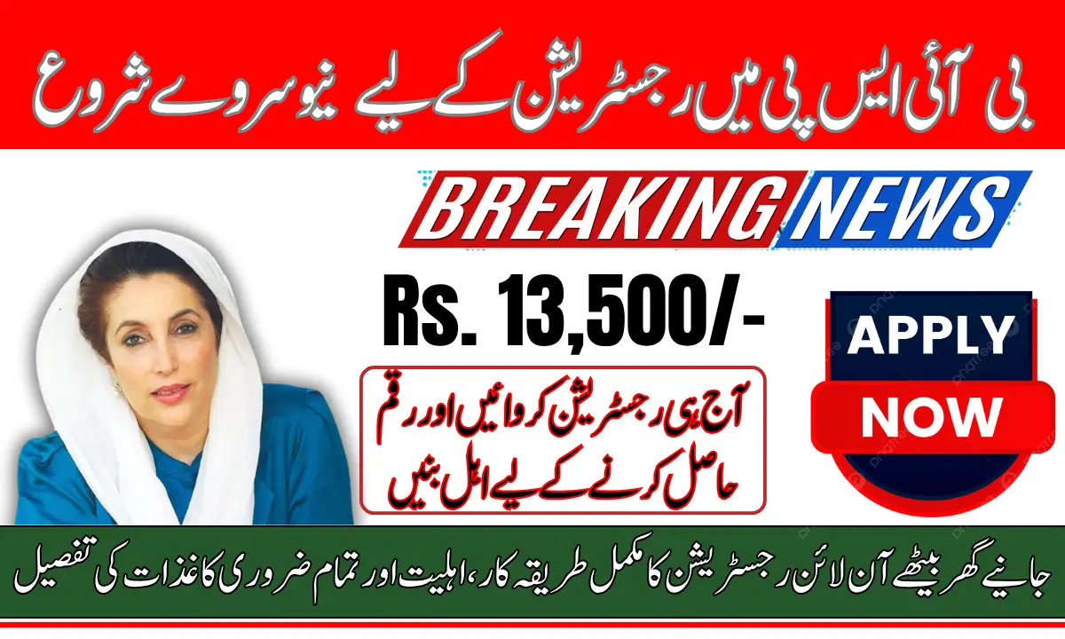 Complete Details of BISP Survey Registration Requirements For New Applicants in 2025