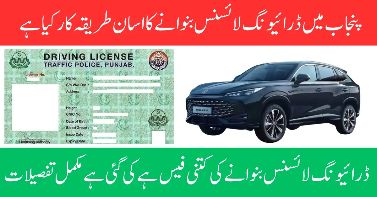 How To Create a Driving License In Punjab Easy Method 2025