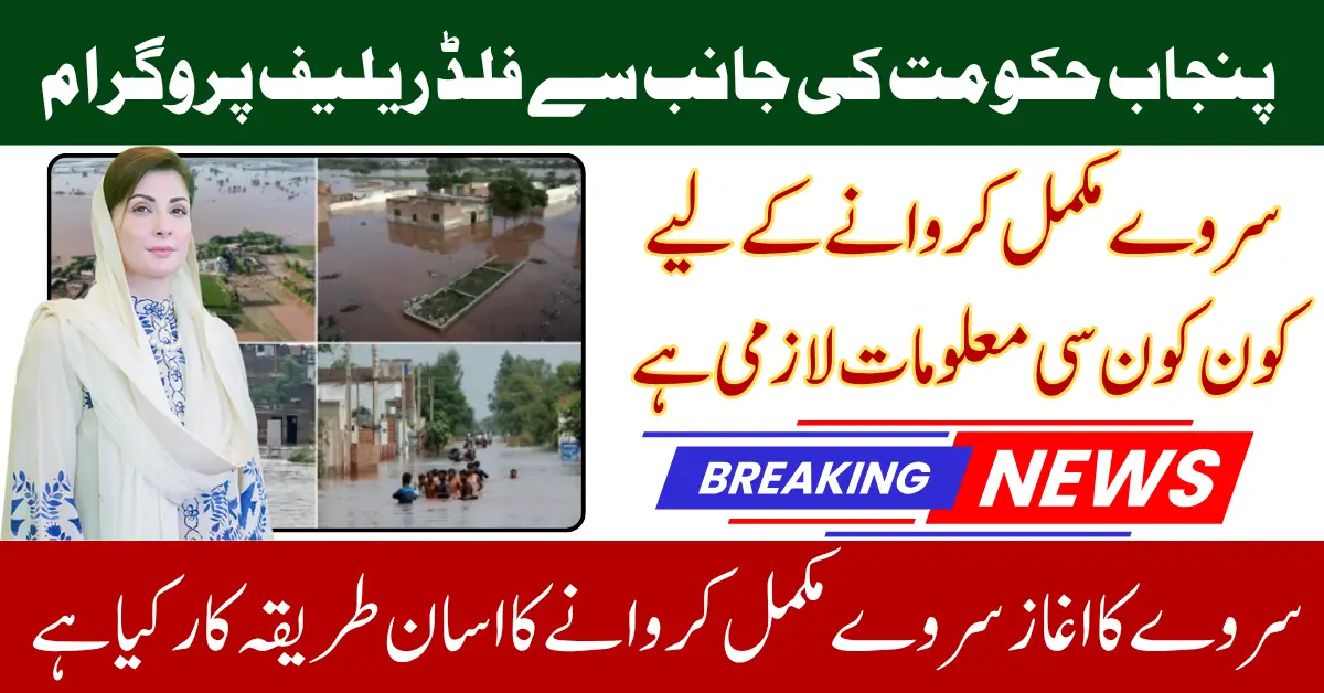 Punjab Flood Relief Survey 2025 Required Documents and Benefits Know Full Guide