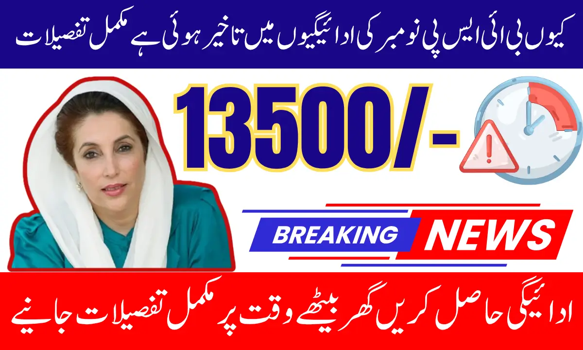 BISP 8171 November 2025 Payments Delayed Complete Verification Details & Full Guide