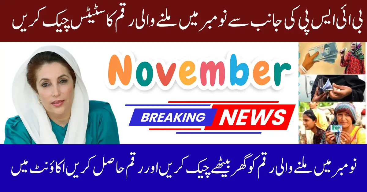 BISP 8171 November 2025 Phase Wise Verification and Payment Disbursement System – Full Guide