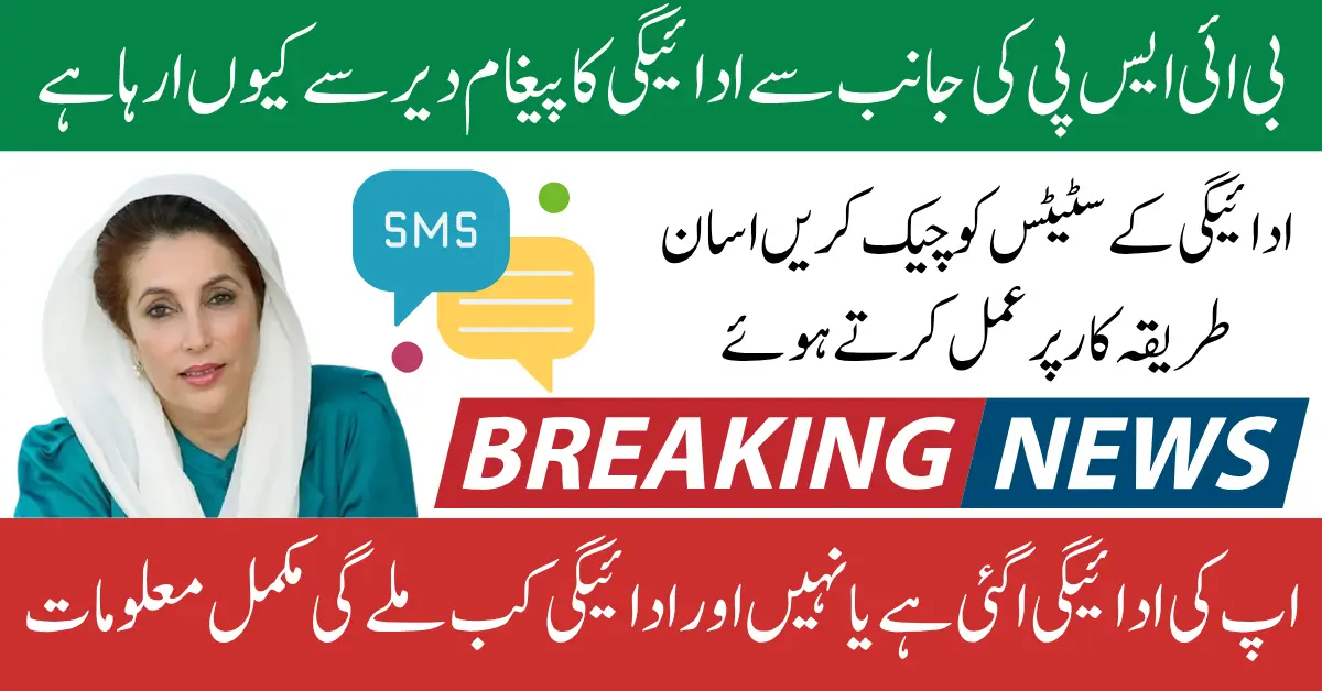 BISP 8171 Payment Delay What Should You Do Next Know Full Guide Step By Step