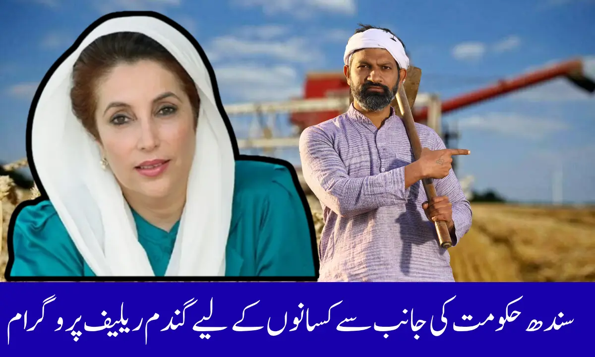 Sindh Government Announces Historic Wheat Relief Package for 411,000 Farmers